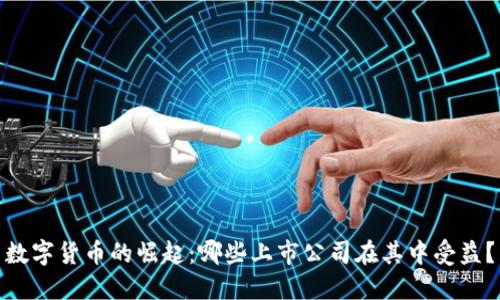 数字货币的崛起：哪些上市公司在其中受益？