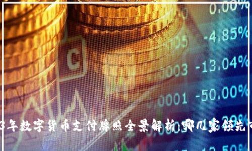 2023年数字货币支付牌照全景解析：哪几家领先市场？